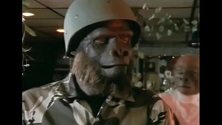 E Playmate e Majmunëve